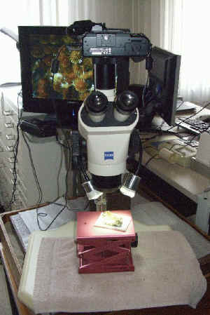 D.7_02.JPG (84229 Byte)