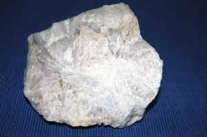 D2_02.JPG (130320 Byte)