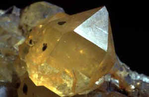 D2_03.JPG (20052 Byte)