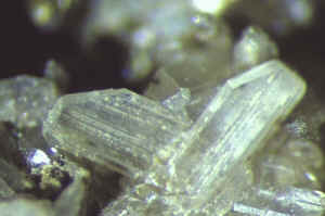 D2_05.JPG (117423 Byte)