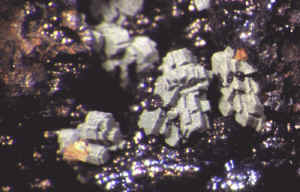 D2_07.JPG (121680 Byte)