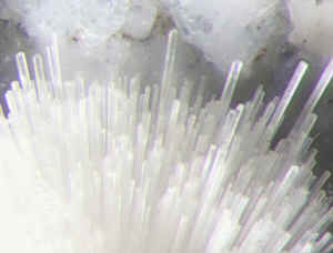 D2_11.JPG (101089 Byte)