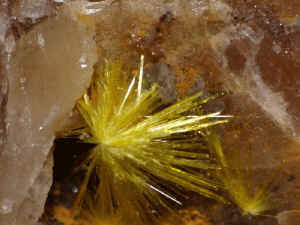 D4_02 UranophanClara.jpg (216212 Byte)