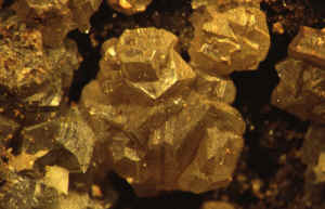 D4_02.JPG (126690 Byte)