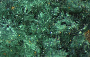D4_07.JPG (144596 Byte)
