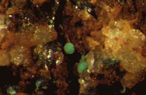 D4_08.JPG (123770 Byte)