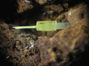 D4_19.JPG (152324 Byte)