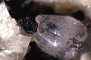 D4_20.JPG (116065 Byte)