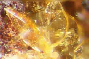 D4_21.jpg (144845 Byte)